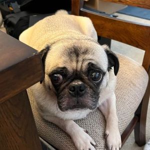 Meet your Posher, Christine